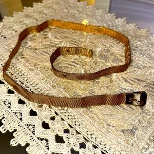 Elegant Gold and Brown Mesh Belt